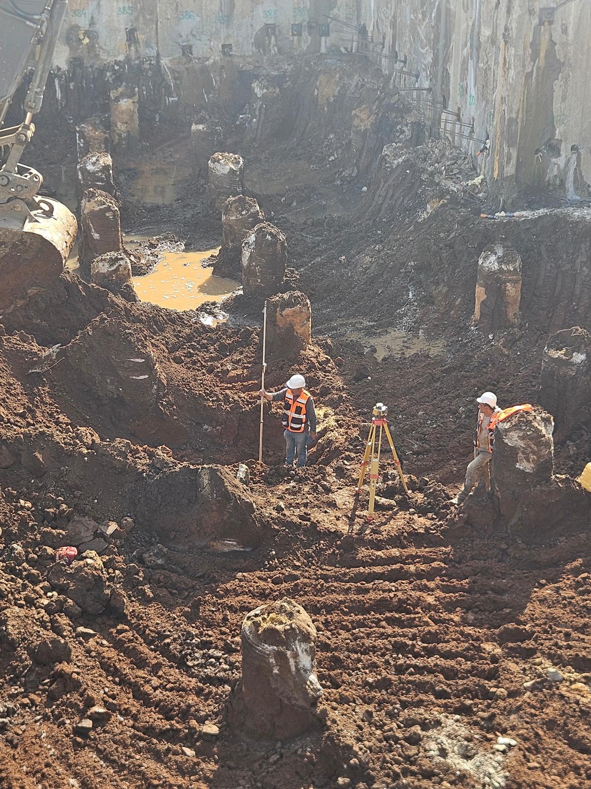 WhatsApp Image 2026-01-26 at 15.34.15